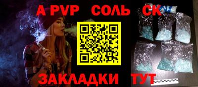 СК Новодвинск