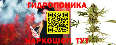 твердый Нальчик