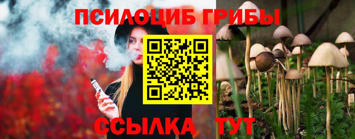 Галлюциногенные грибы мицелий  Вход с VPN  Славгород 