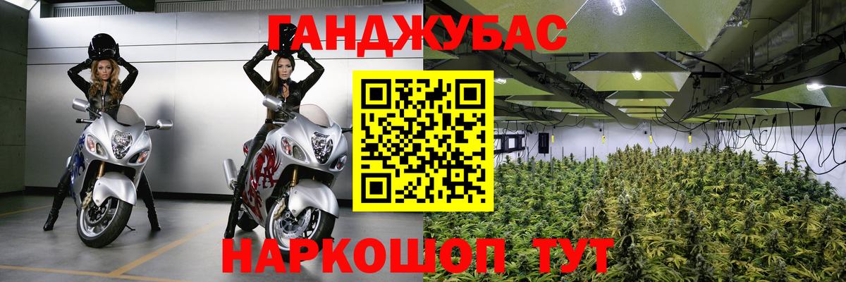Бошки марихуана Ganja  Бошки марихуана конопля  Вход с VPN  Конопля марихуана  Славгород 